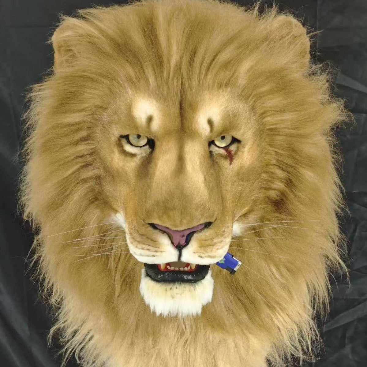 Realistic Lion Fursuit Head with Full Mane