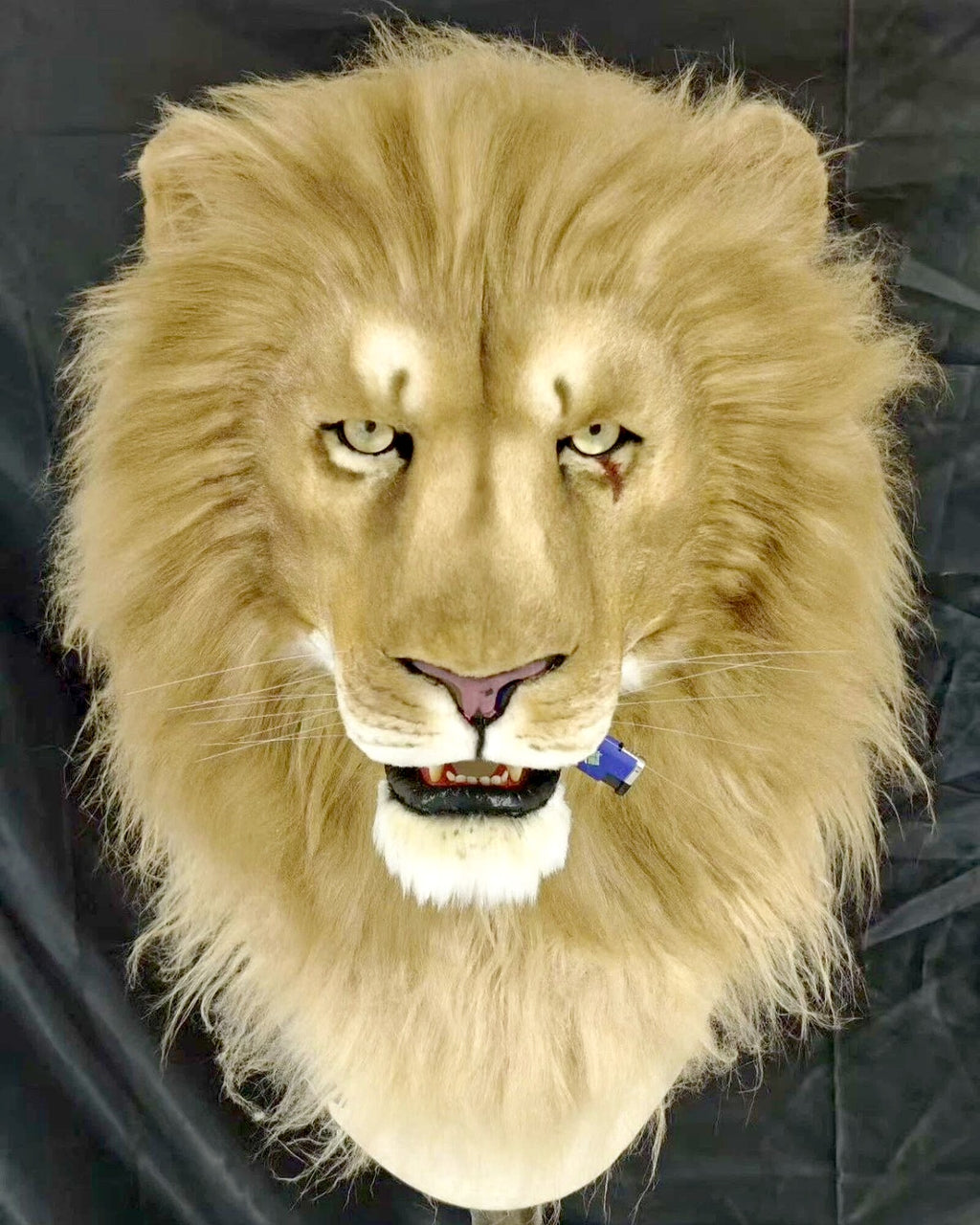 Realistic Lion Fursuit Head - Moving Jaw product photo 1
