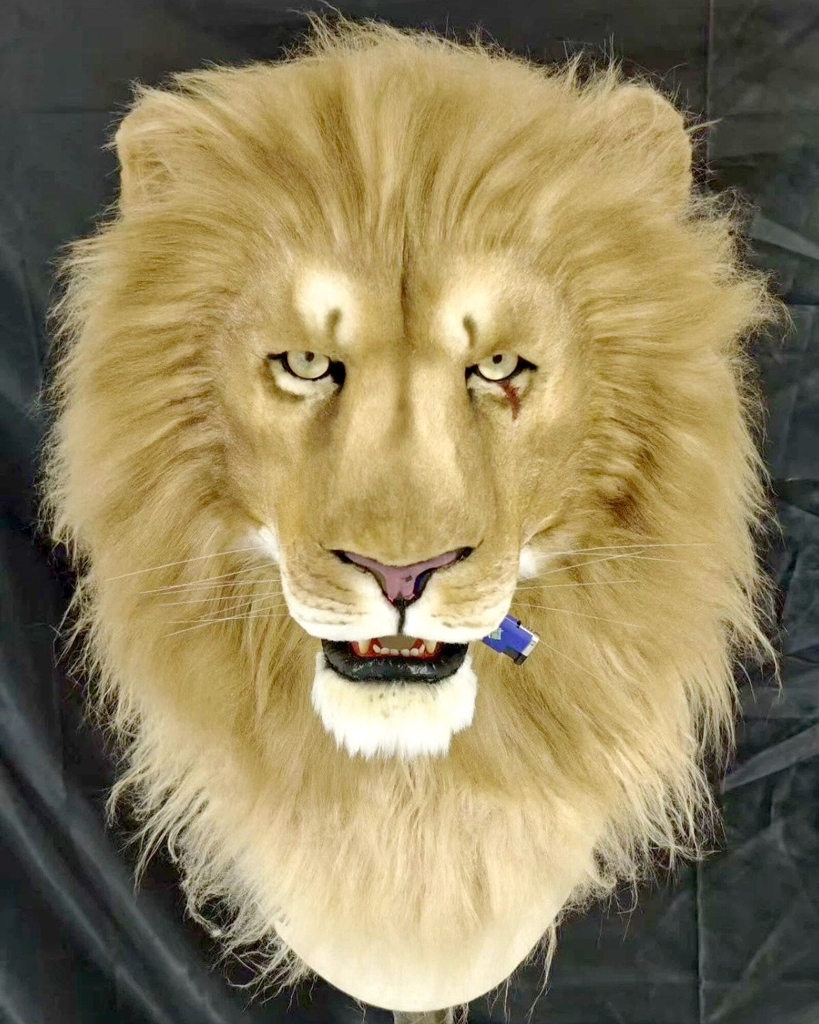 Realistic Lion Fursuit Head - Moving Jaw product photo 1