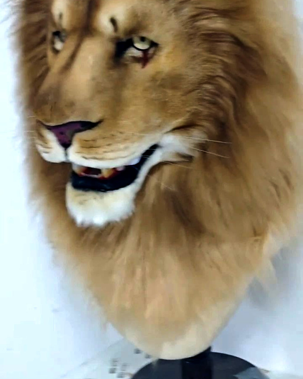 Realistic Lion Fursuit Head - Moving Jaw product photo 2