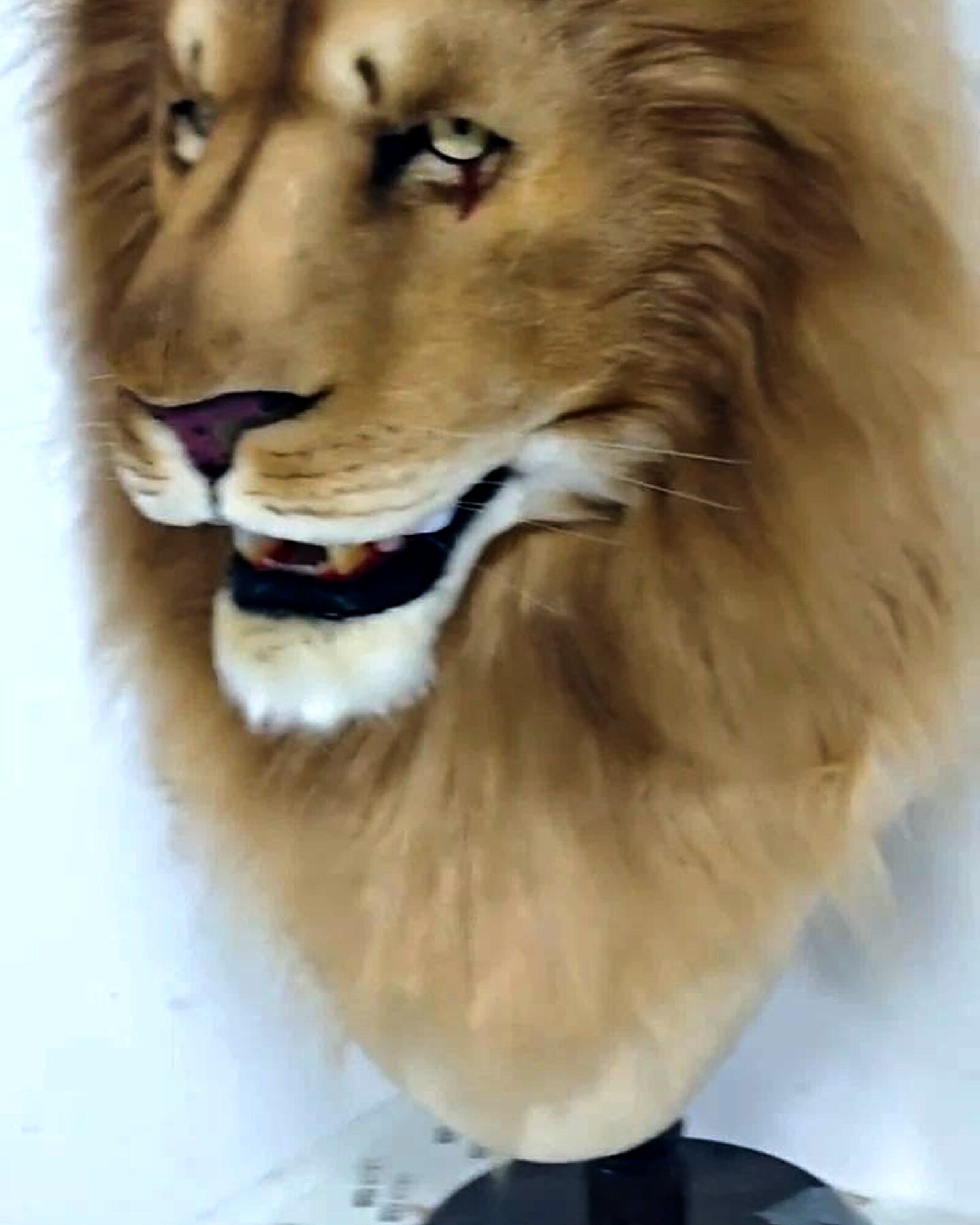 Realistic Lion Fursuit Head - Moving Jaw product photo 2
