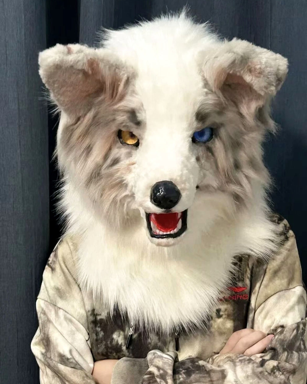 Realistic Border Collie Fursuit Head - Lilac Merle Odd Eyes product photo 1