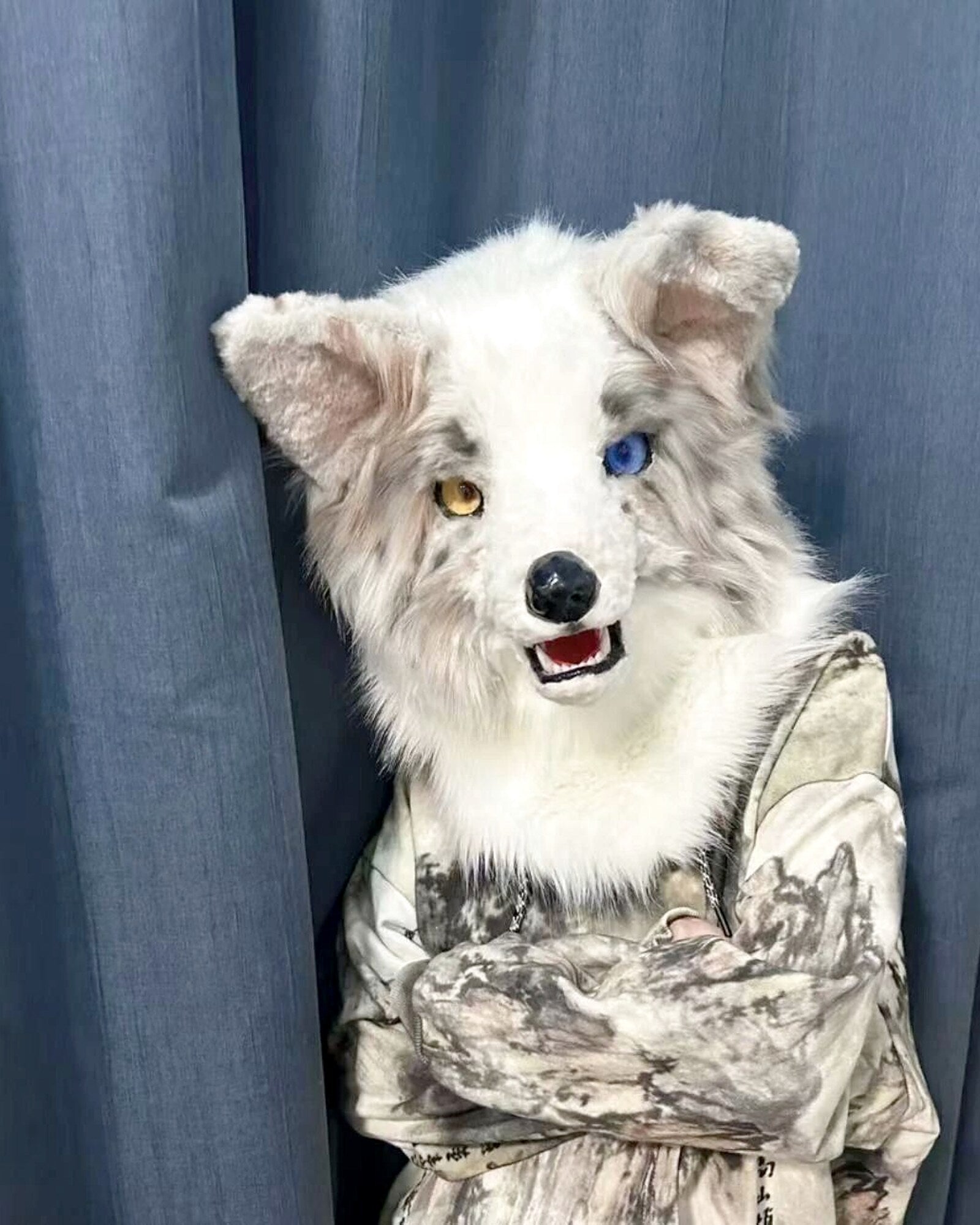 Realistic Border Collie Fursuit Head - Lilac Merle Odd Eyes product photo 3