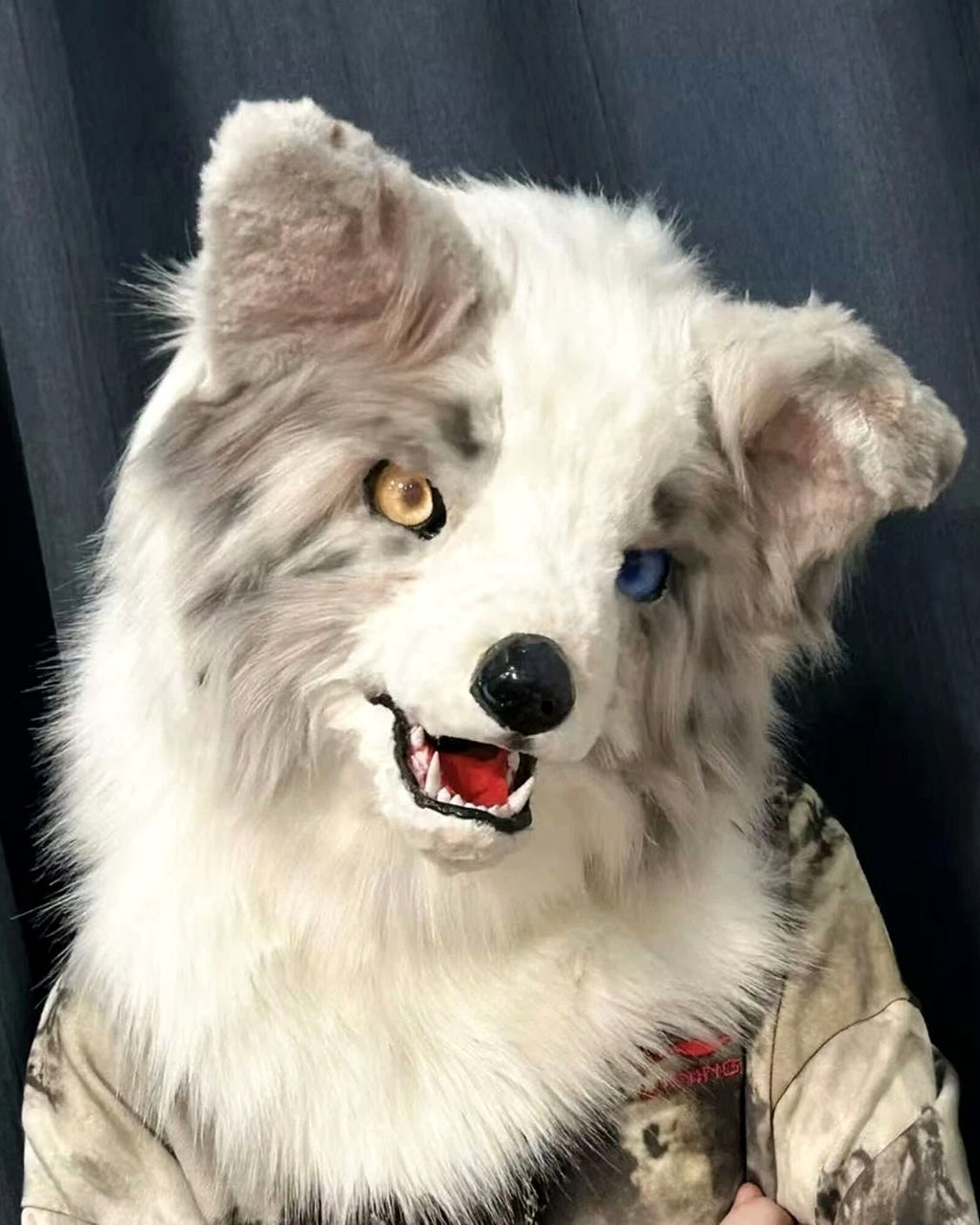 Realistic Border Collie Fursuit Head - Lilac Merle Odd Eyes product photo 4