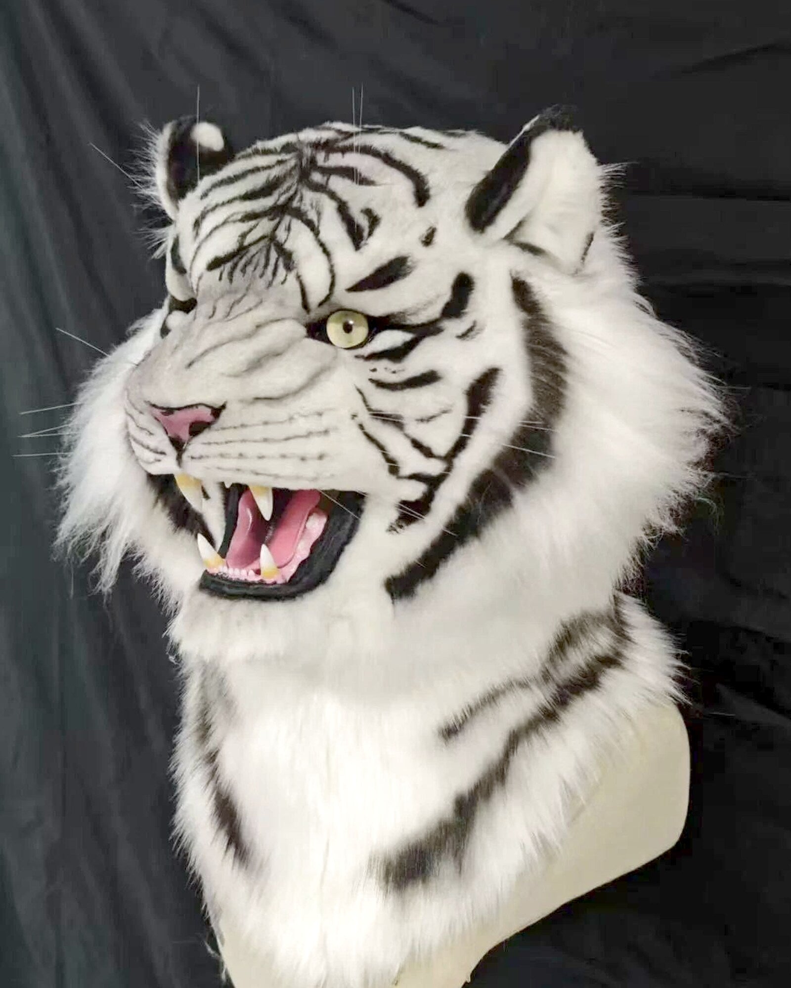 Realistic Roaring White Tiger Fursuit Head - Animal Mask product photo 4