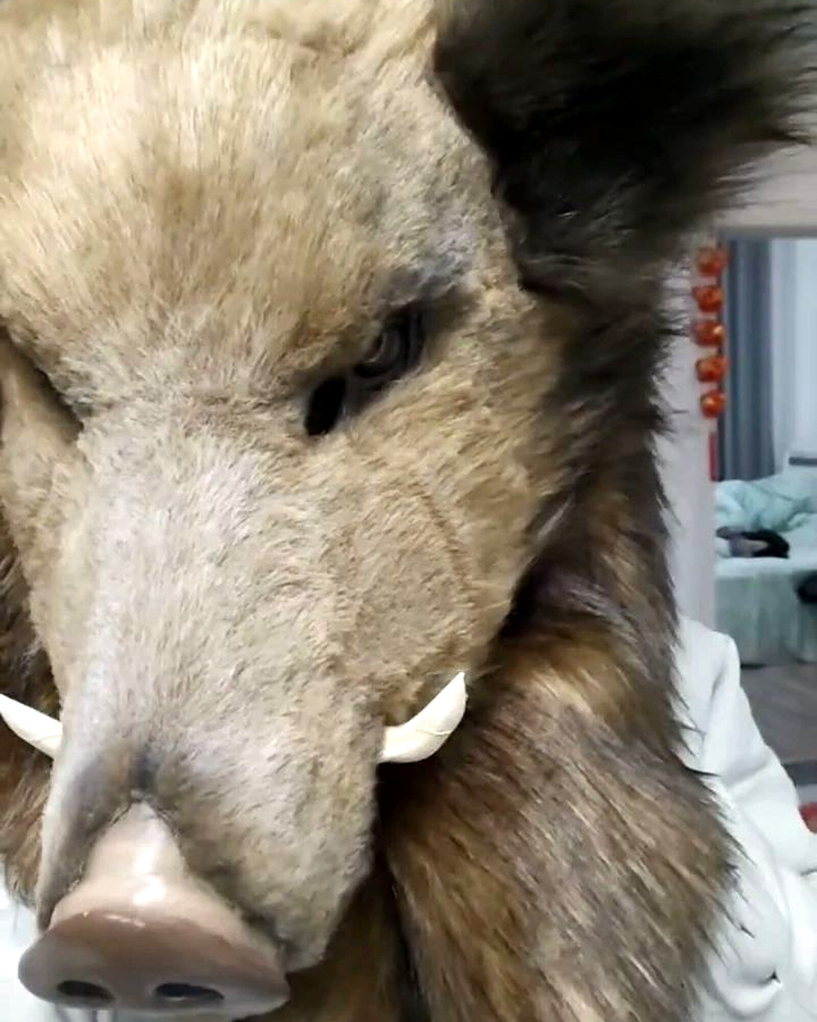 Realistic Wild Boar Fursuit Head - Handmade Animal Mask product photo 2
