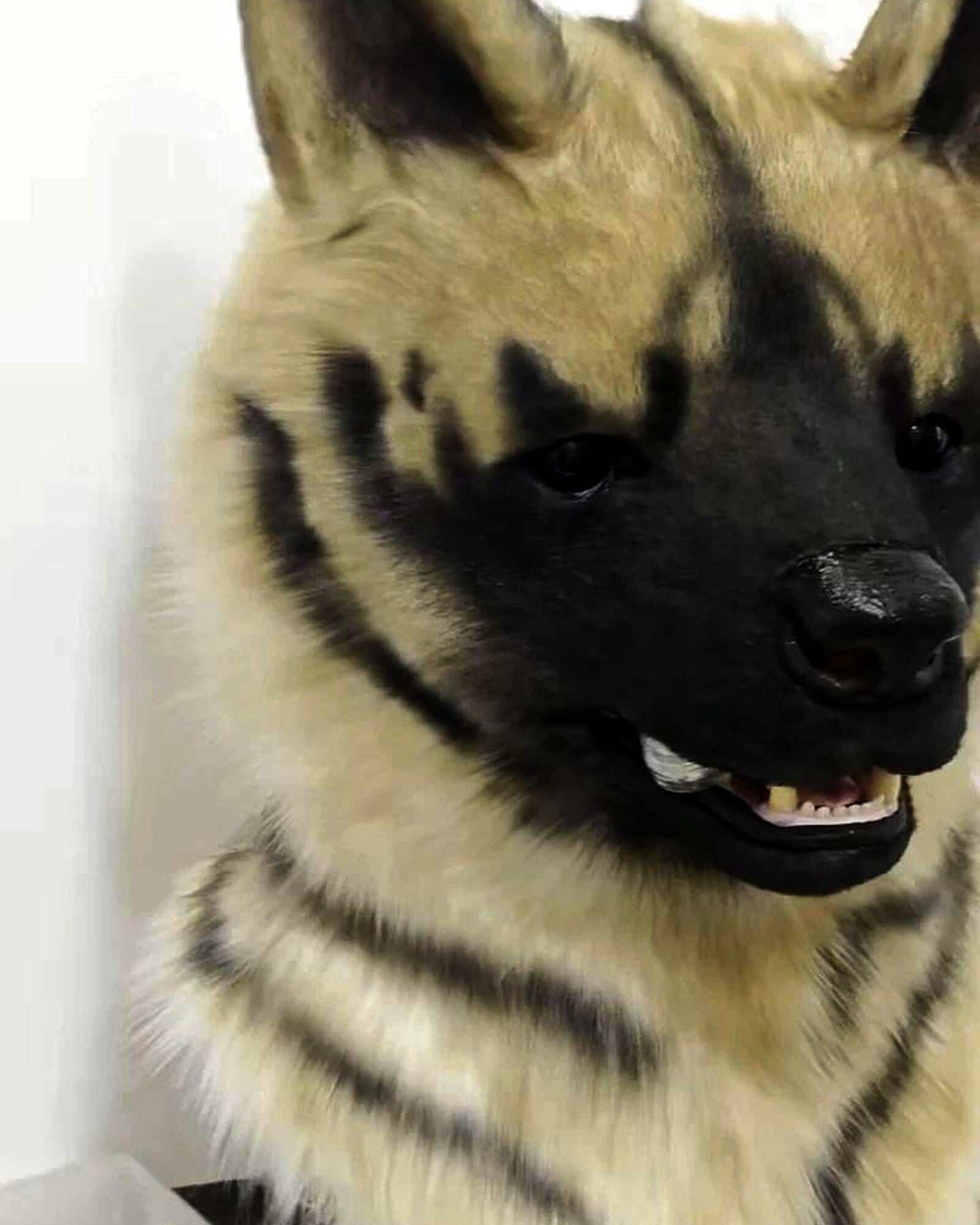 Realistic Hyena Fursuit Head - Moving Jaw product photo 2