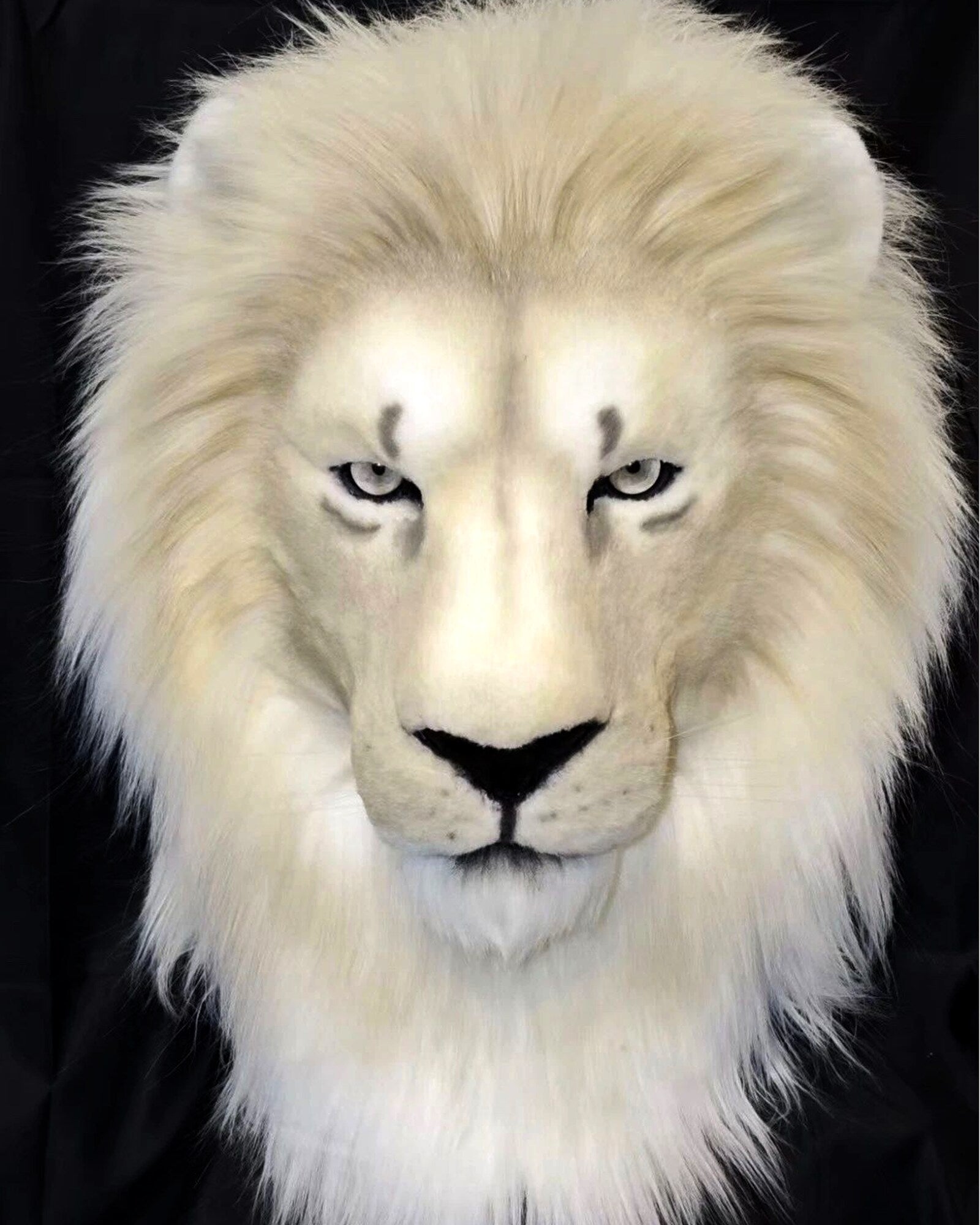 Realistic White Lion Fursuit Head - Handmade Furry Mask product photo 3