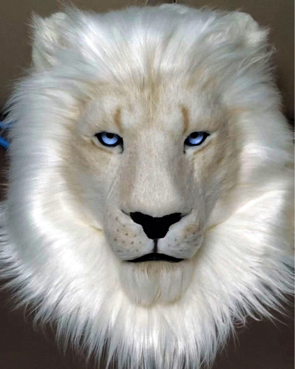 Realistic White Lion Fursuit Head - Handmade Furry Mask product photo 4