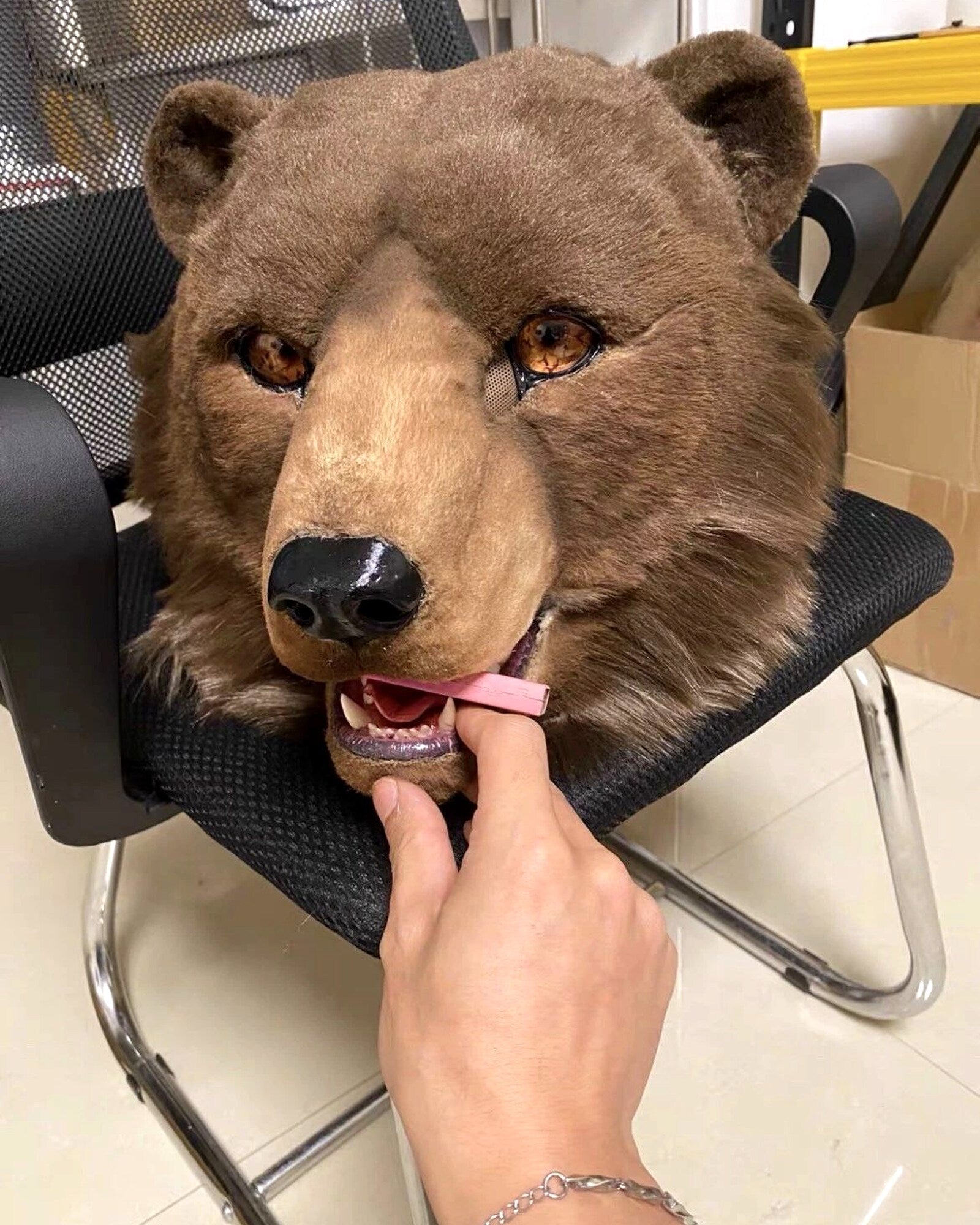 Realistic Bear Fursuit Head - Moving Jaw product photo 6