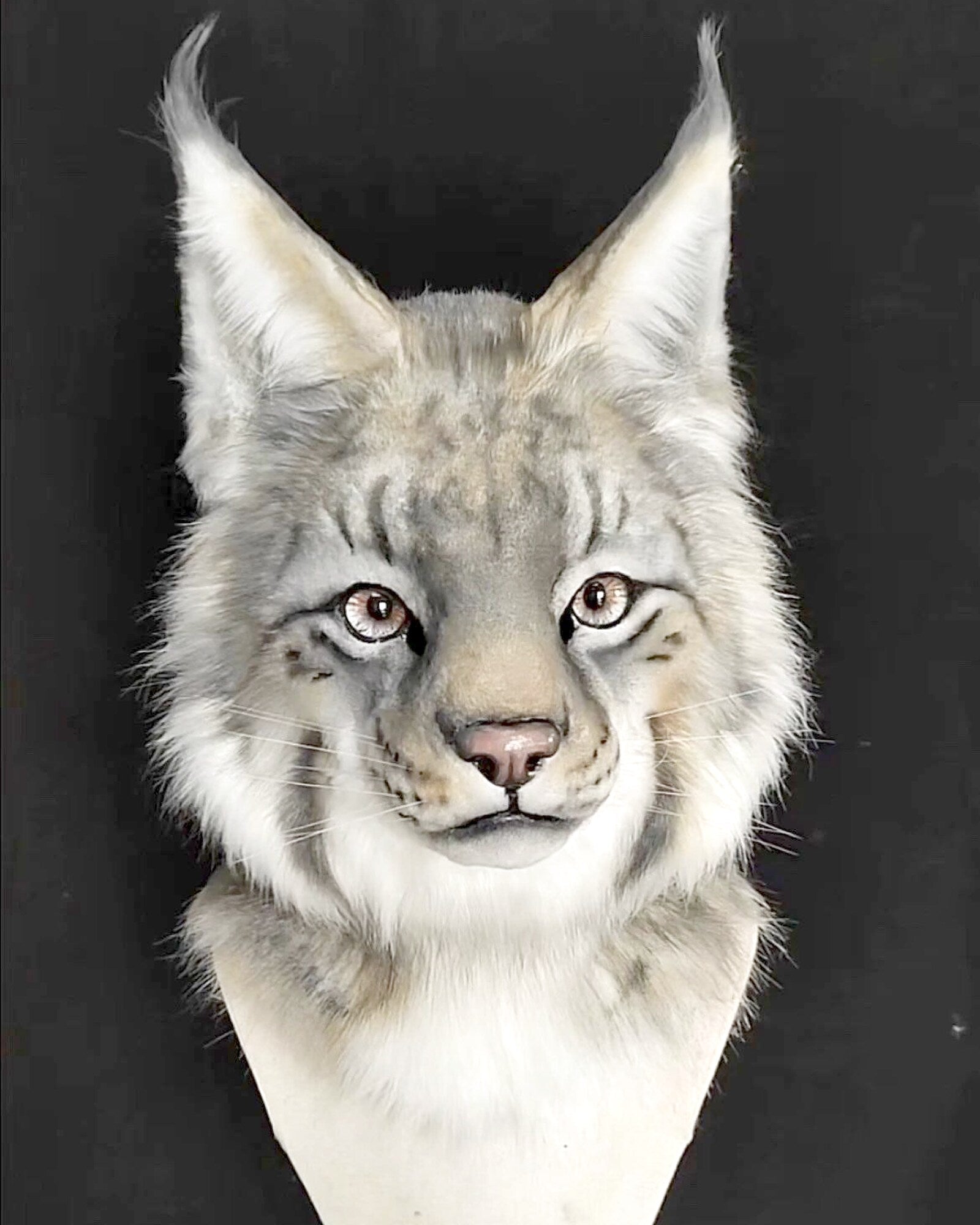 Realistic Lynx Fursuit Head - Moving Jaw product photo 1