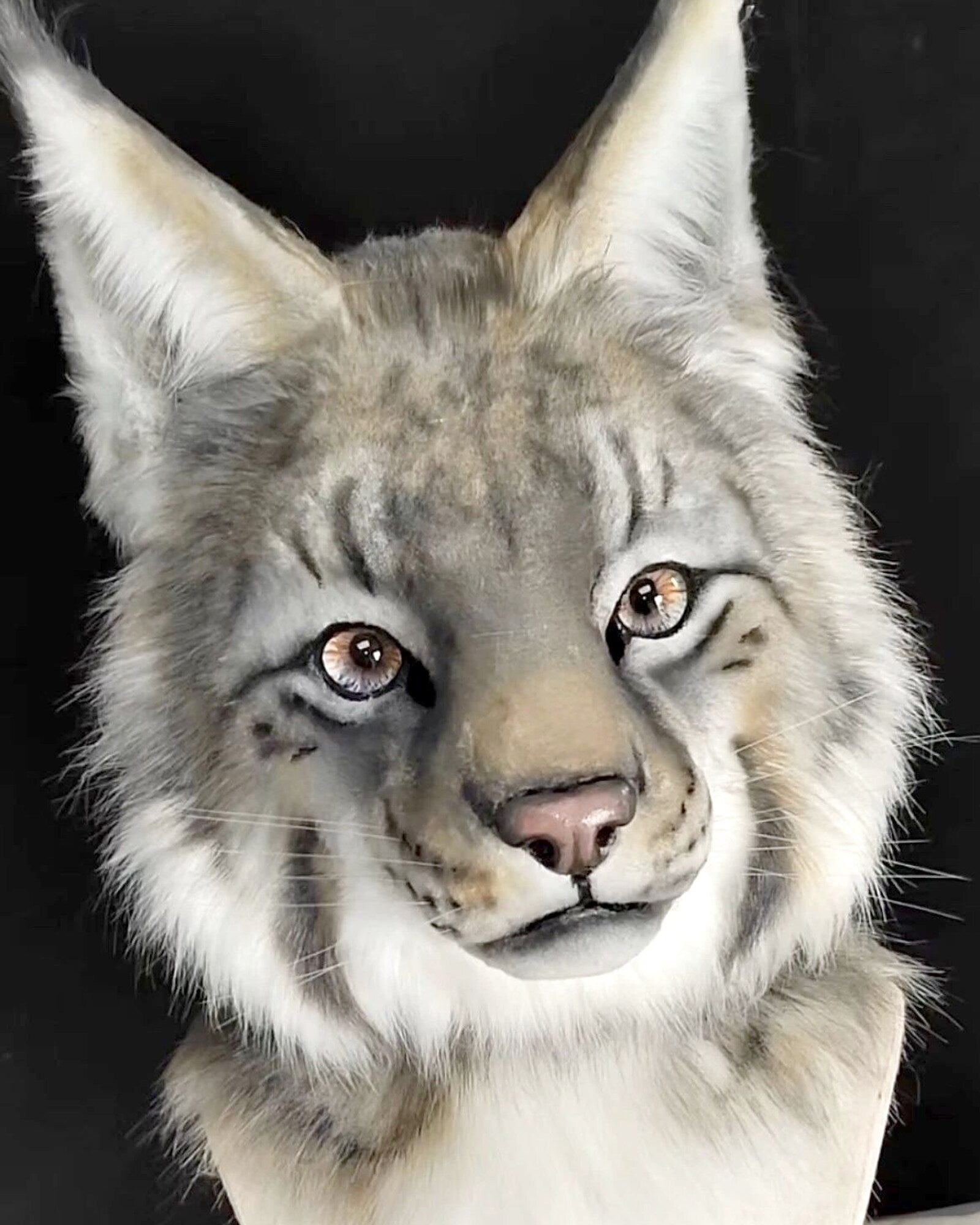 Realistic Lynx Fursuit Head - Moving Jaw product photo 4