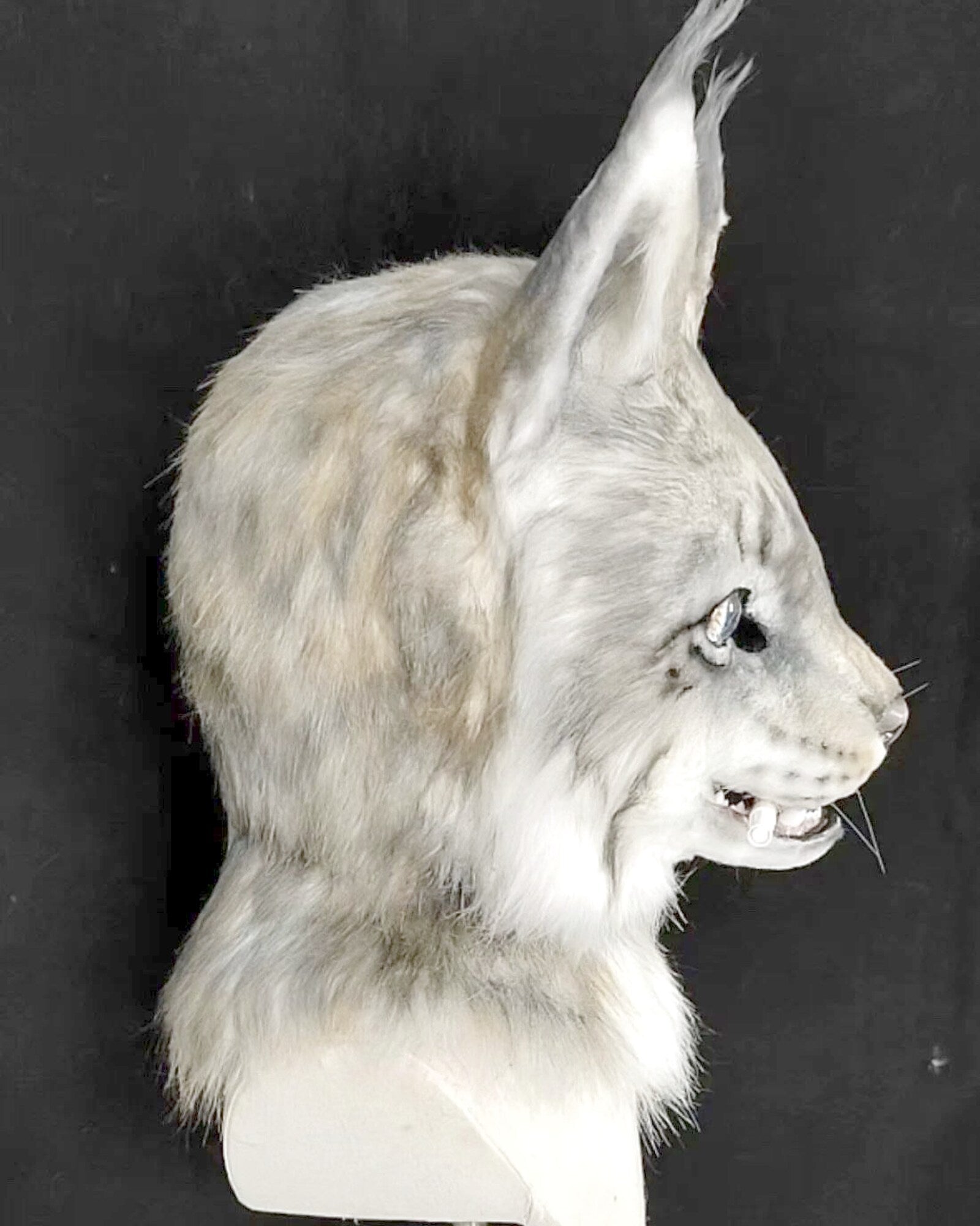 Realistic Lynx Fursuit Head - Moving Jaw product photo 5