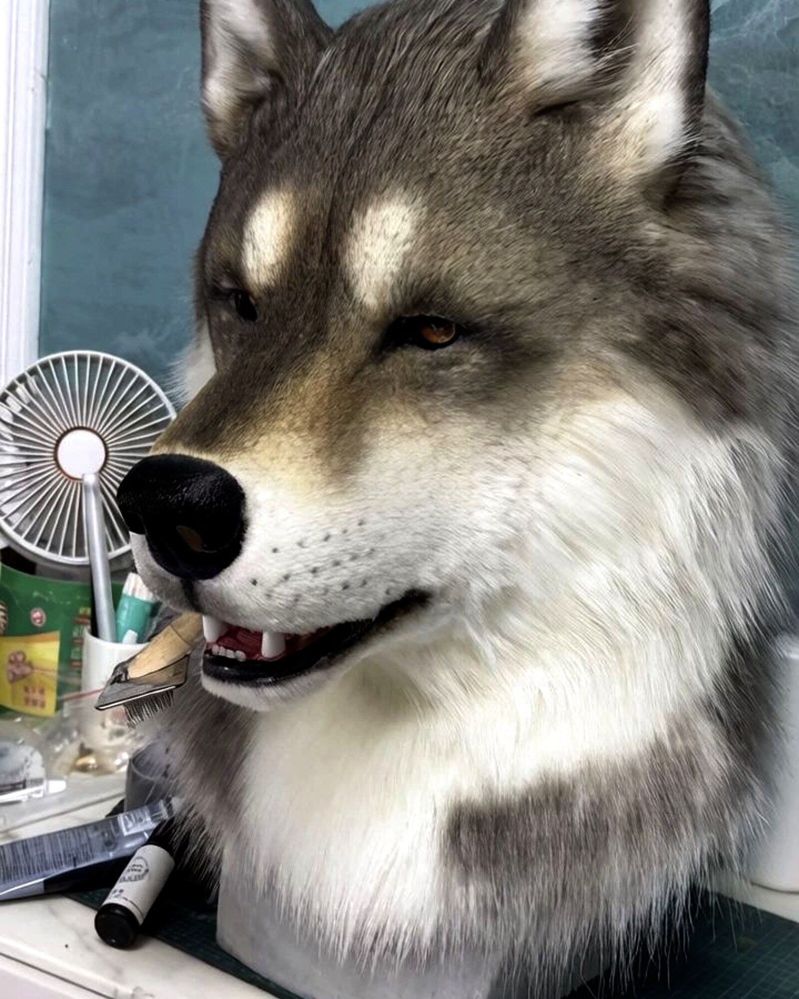 Realistic Wolf Fursuit Head - Moving Jaw - Lined Interior product photo 6
