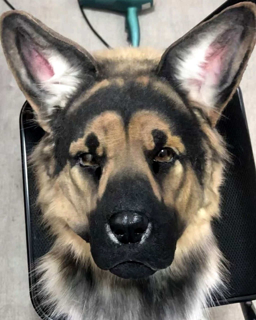 Realistic German Shepherd Fursuit Head - Moving Jaw product photo 1