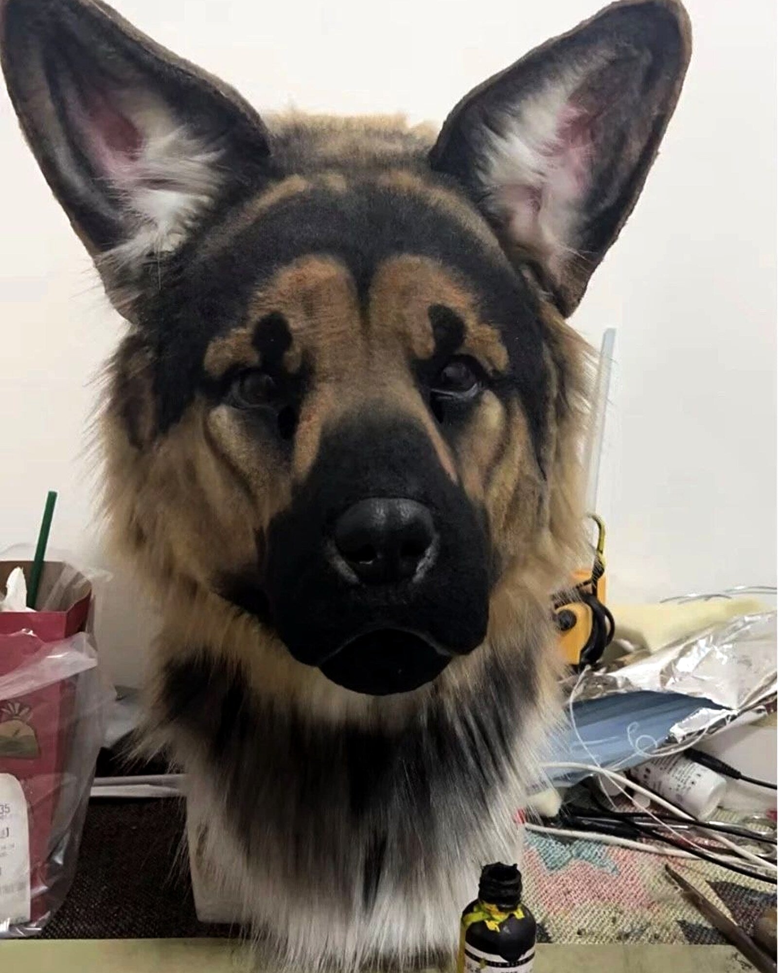 Realistic German Shepherd Fursuit Head - Moving Jaw product photo 3