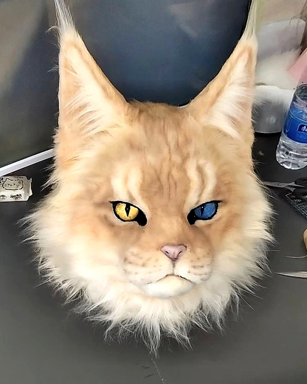 Realistic Maine Coon Cat Fursuit Head - Handmade Animal Mask - Odd Eyes product photo 2