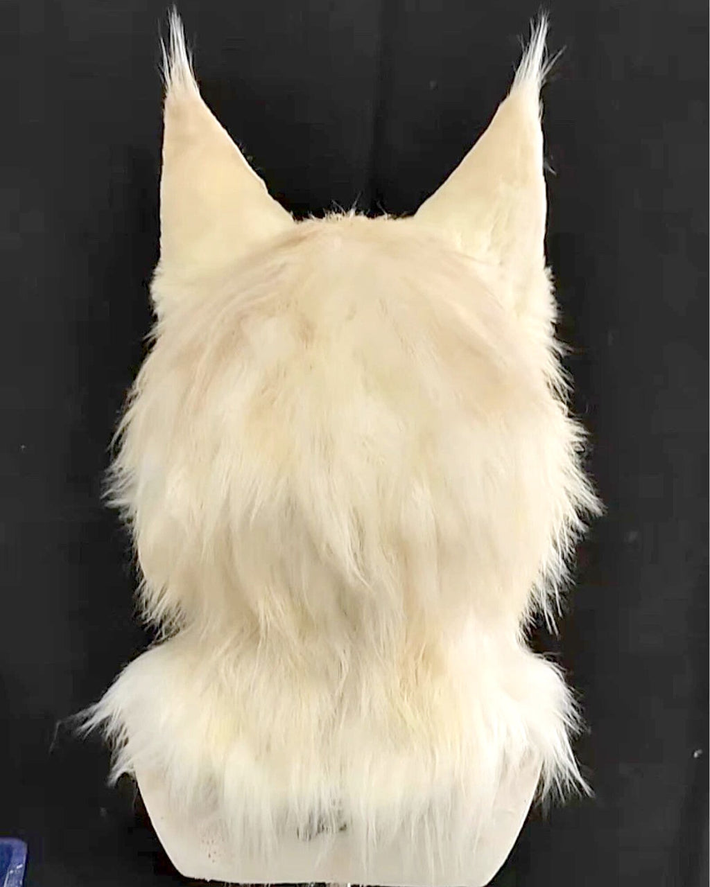 Realistic Maine Coon Cat Fursuit Head - Handmade Animal Mask - Odd Eyes product photo 5