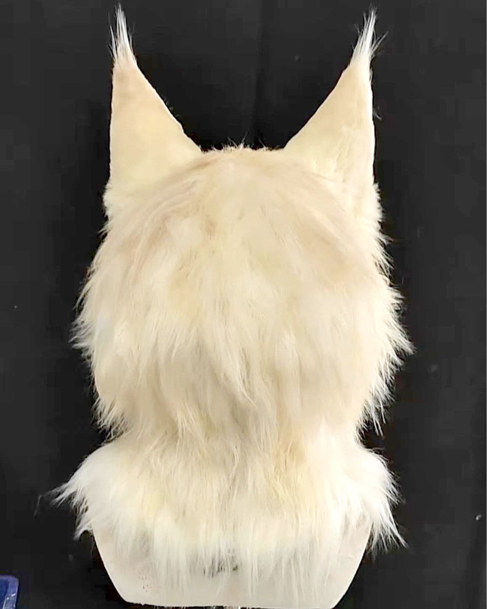 Realistic Maine Coon Cat Fursuit Head - Handmade Animal Mask - Odd Eyes product photo 5