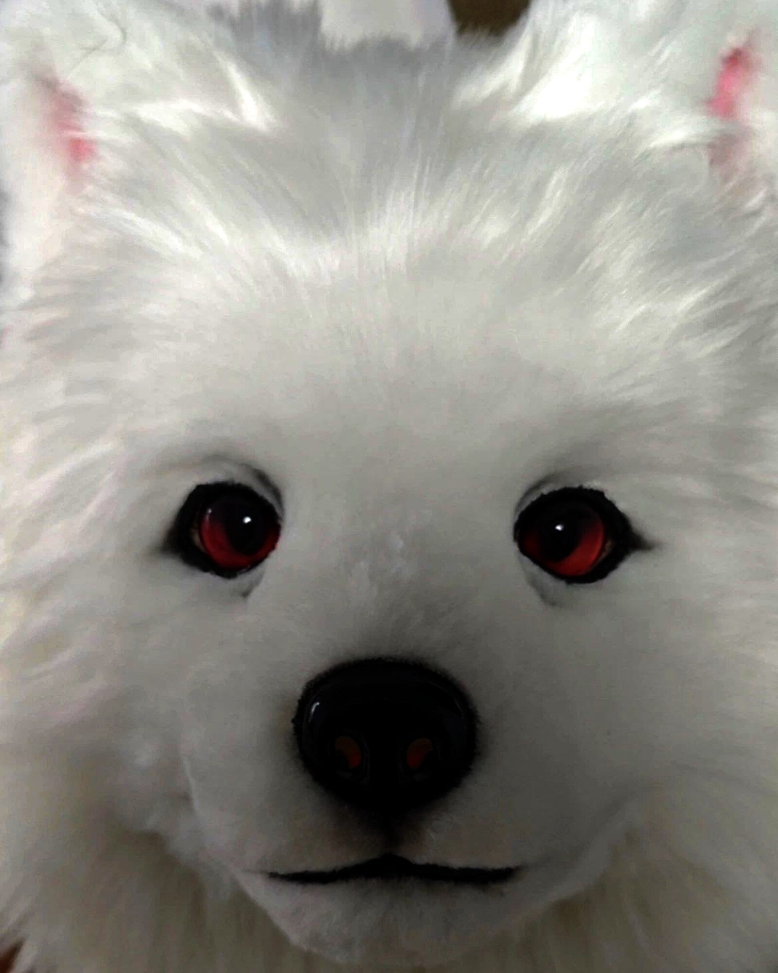 Realistic Samoyed Dog Fursuit Head - Moving Jaw product photo 3