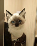 Realistic Ragdoll Cat Fursuit Head - Moving Jaw - Blue Eyes product photo 1