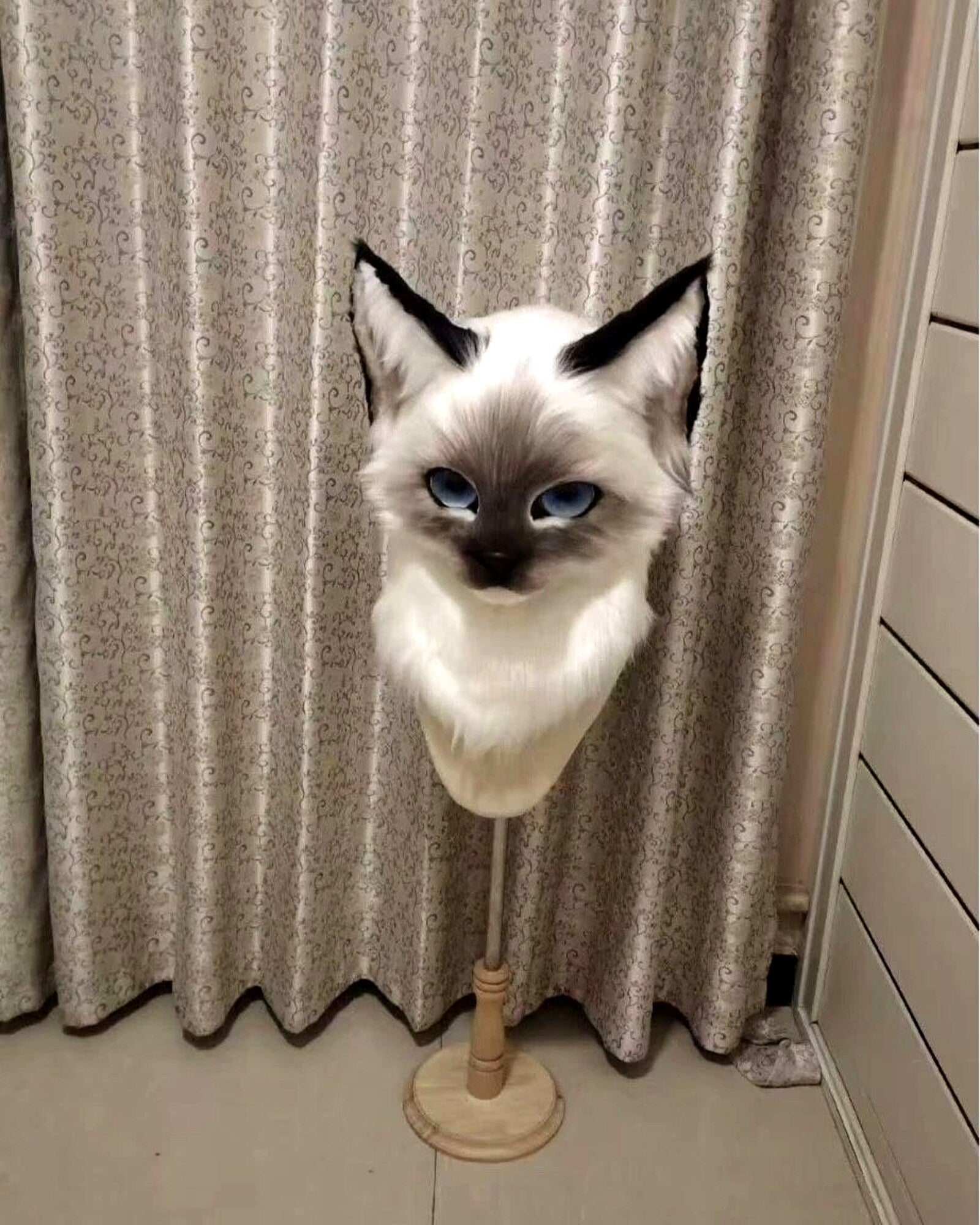 Realistic Ragdoll Cat Fursuit Head - Moving Jaw - Blue Eyes product photo 3