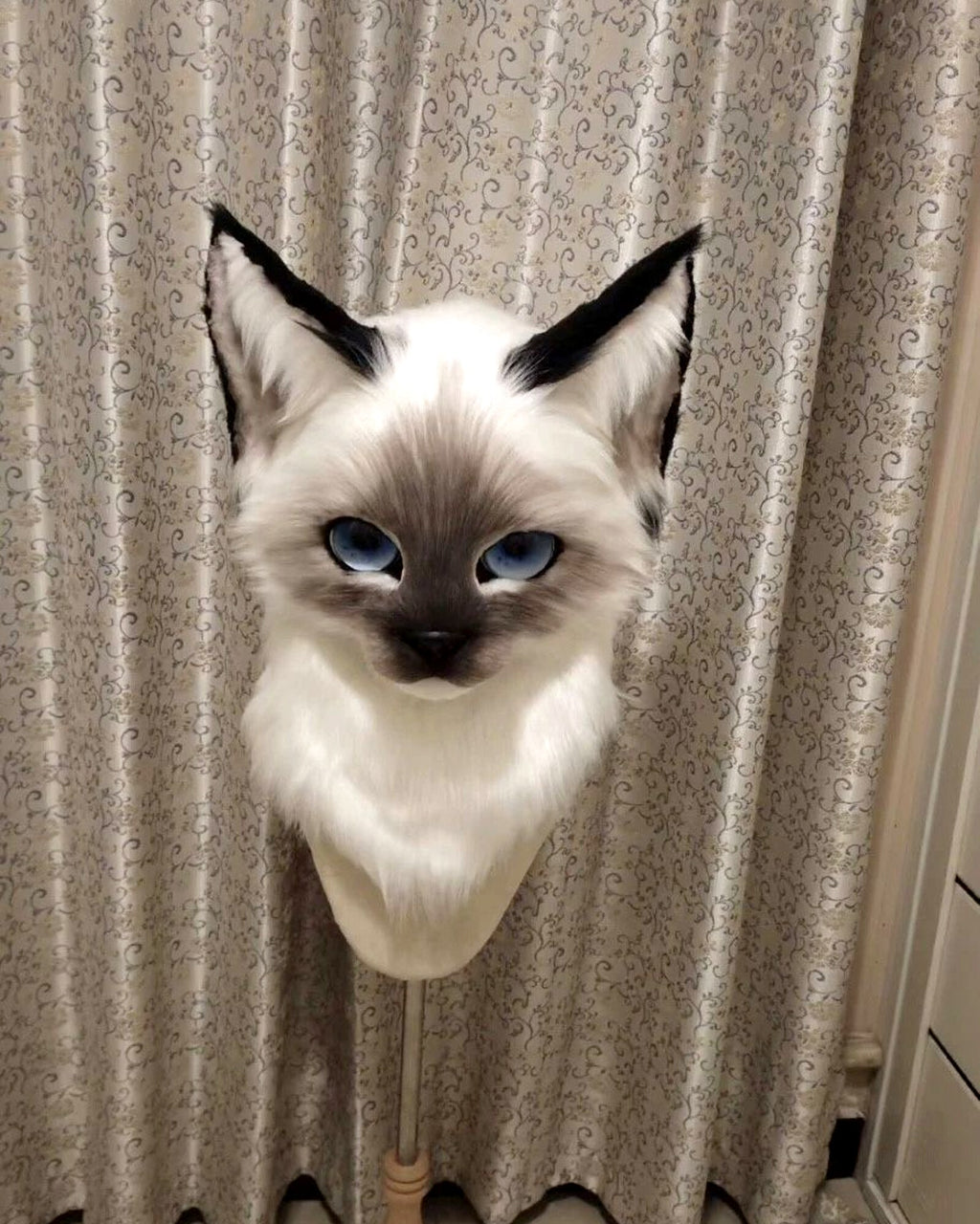 Realistic Ragdoll Cat Fursuit Head - Moving Jaw - Blue Eyes product photo 4