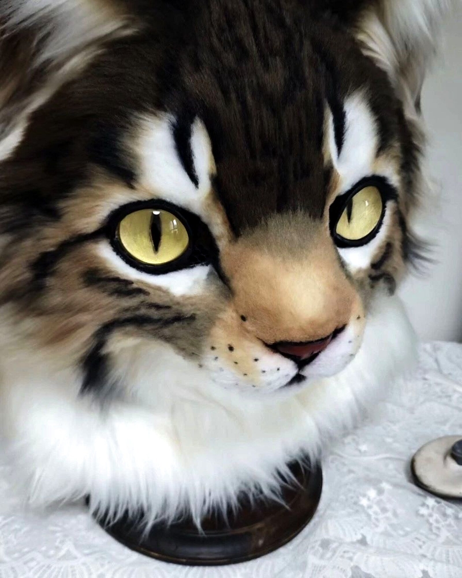 Realistic Maine Coon Cat Fursuit Head - Moving Jaw product photo 3
