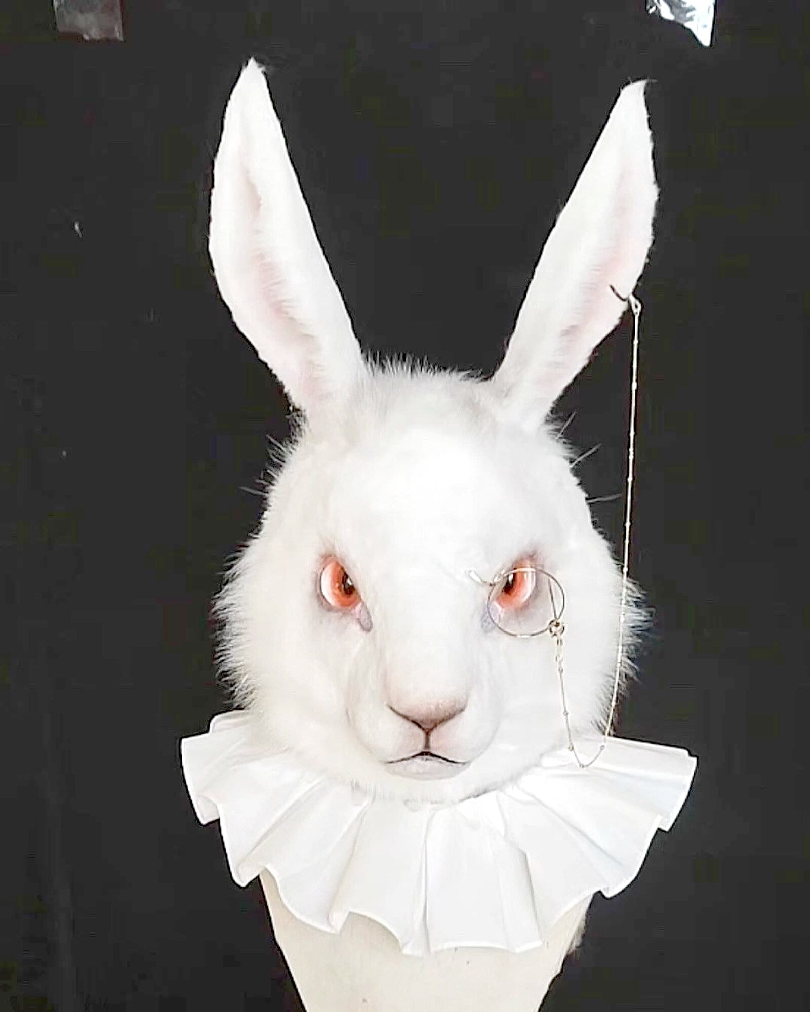 Realistic White Rabbit Fursuit Head - Moving Jaw product photo 2