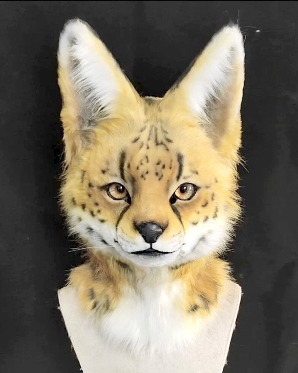 Realistic Serval Cat Fursuit Head - Moving Jaw product photo 1