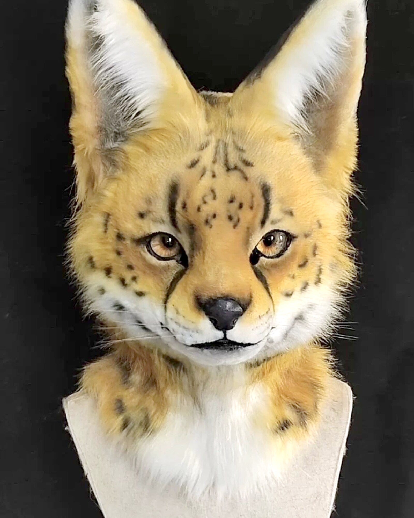 Realistic Serval Cat Fursuit Head - Moving Jaw product photo 2