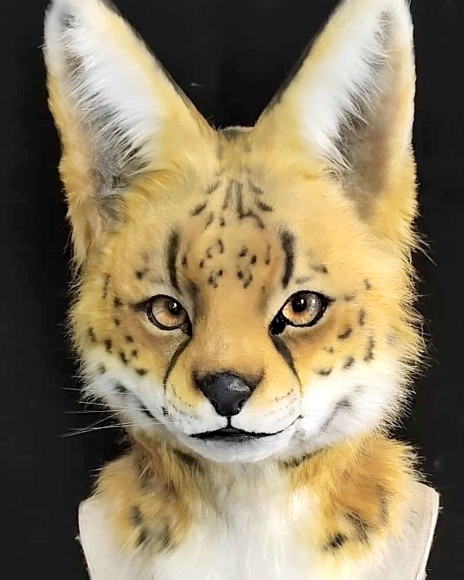 Realistic Serval Cat Fursuit Head - Moving Jaw product photo 3