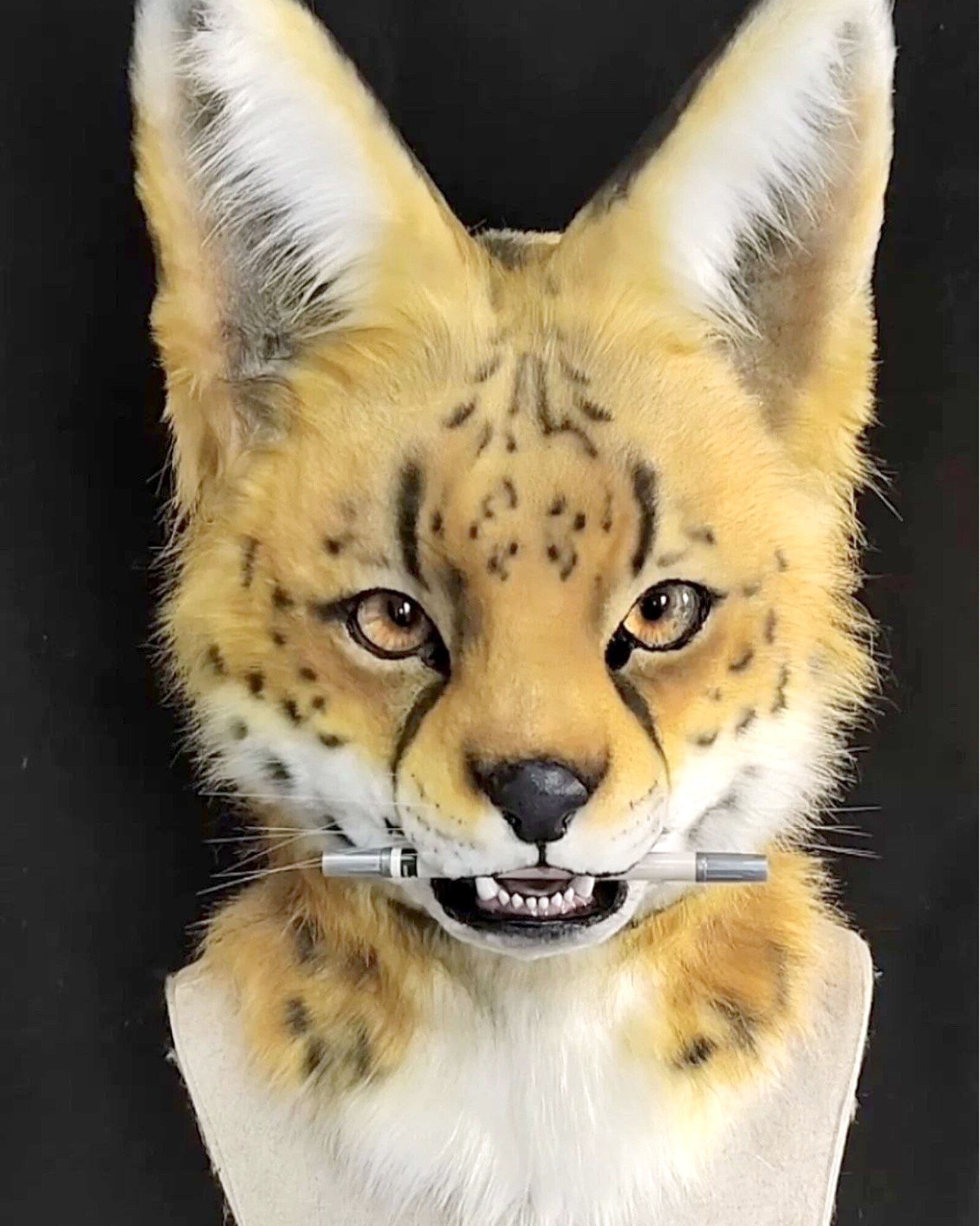 Realistic Serval Cat Fursuit Head - Moving Jaw product photo 4