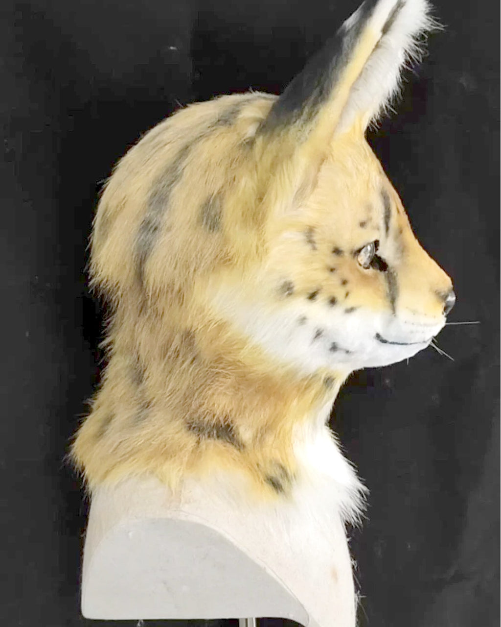 Realistic Serval Cat Fursuit Head - Moving Jaw product photo 5