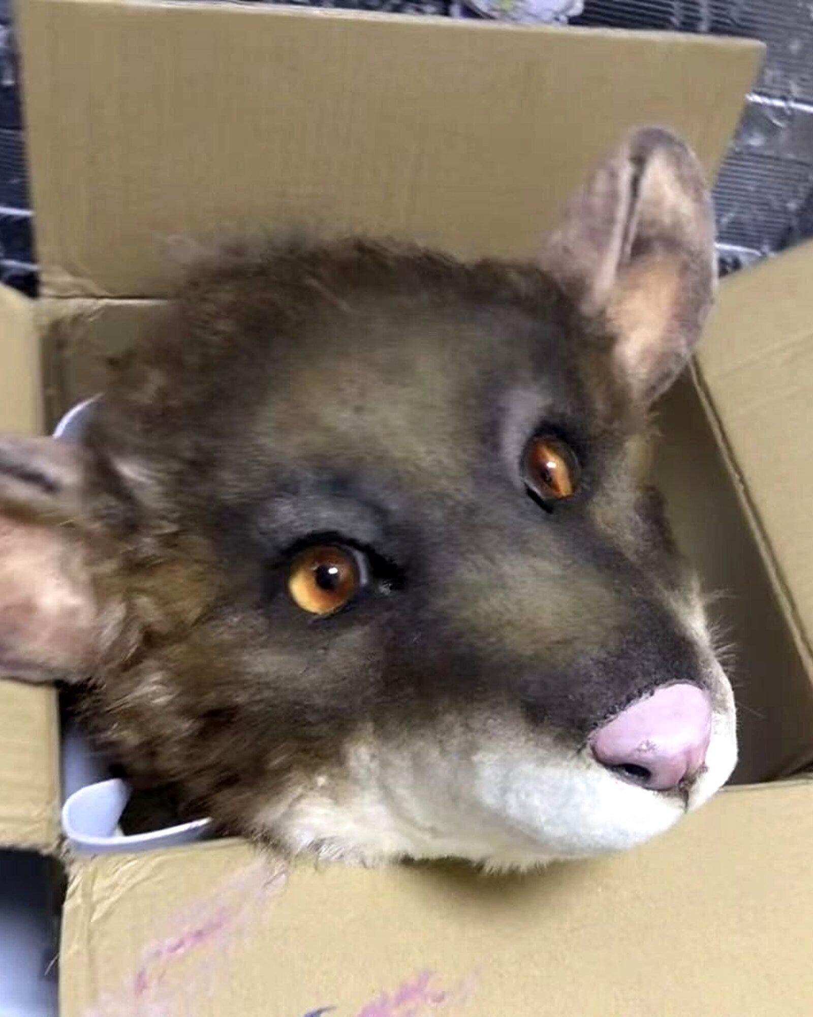 Realistic Mouse Rat Fursuit Head - Moving Jaw product photo 1